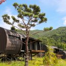 대나무랜드 이미지