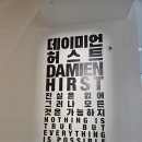 은빛세상 | 데미안 허스트 전시 왜 광풍인가? 은빛추천 꼭봐야 하는 작품 best 7/관람순서