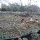 김기수 농장 이미지