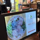 벌교초장집 | [여의도맛집] 막회 추천 '초장집' 솔직후기