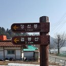 꽃다지 맞은편 이미지