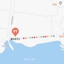 서울 근교 서천 비인해변에서 캠핑하고 무료 조개잡이 했어요 (동죽 대박 스팟)
