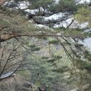 마리아케이글로벌 이미지