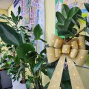 마곡나루부동산공인중개사사무소 이미지