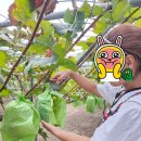 세아농장 이미지