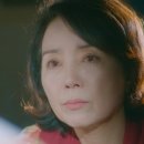초록밤