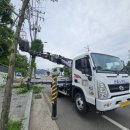 창녕대로 이미지