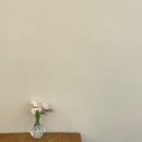 올인블룸 - 북구 백양대로 1057 | 올인블룸