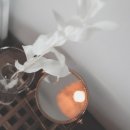 오늘여기펜션 이미지