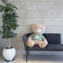 명상 | 영덕 삼성연수원 명상센터 후기