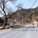 소백산자락길 제5코스 Daum카페