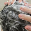 풀빛고운 이미지