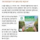 추미애 대표의 '헨리 조지' 언급, 종부세(종합부동산세) 인상 포석? 이미지