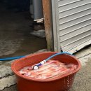 수강로 12번길 이미지