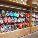 몰리스 놀이터/호텔 이미지