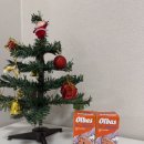 (주)이지엠인터내셔널 | 아기 코막힘 해결사 영국 천연에션셜 올바스 오일로 코막힘해결 !!