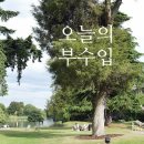 엔에이치헬스케어 | 2024.07.26 NH투자증권 / 엔에이치스팩31호 매도 후기