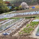 웅촌농장 이미지