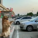 오라이 Daum카페