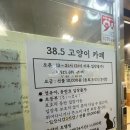 고양이카페38.5 이미지