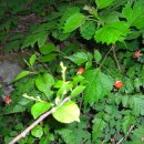 치래마을 이미지