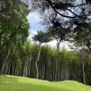 산주마을 | 부산 기장 철마 아홉산숲 비오는날 산책 코스 소요 시간 입장료 주차장 카페