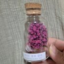 플라워천국 이미지