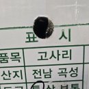 곡성-187 Daum카페