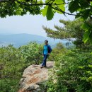 석장승(남장사) 이미지