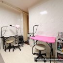 예쁘개 미용 | 보령애견미용 예쁘개 보령 동대동 애견미용 전문샵 체험 후기