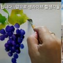 포도 수채화 그리기 / 송금석 그림여행 이미지