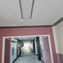 양오초등학교 이미지