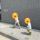 서울우유협동조합거창공장 | [양주] 경기도 아이랑 체험하기 좋은 서울우유 양주공장 견학/예약꿀팁/신청방법/예약링크/증정품