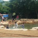 천황자동차야영장 이미지