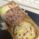 해신바이오 | 2022년 11월 둘째 주 일상일기: 졸업&amp;취준11