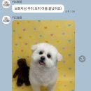 위드왈왈 이미지