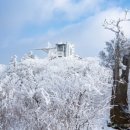 발왕산 관광케이블카 코스 이미지