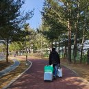 문암생태공원(바베큐장) | 문암생태공원 무료 바베큐장 N번째 이용후기, 계절별 명당자리, 이용팁