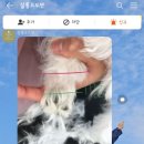 살롱드도만 이미지