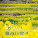 남해 여행 가볼만한곳 남해 두모마을 두모유채꽃메밀꽃단지