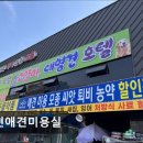 서현애견미용실 이미지