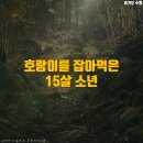 최루백효자각 이미지