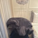 36.오도B 이미지