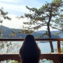 옥화 농장 이미지