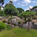 안전목장 이미지