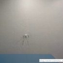 서울드림소아청소년과의원 이미지