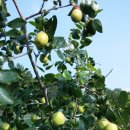 영산농장 이미지