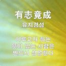 유지경성