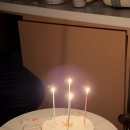 신화2호 | 제주 신화월드 랜딩관 디럭스 패밀리 트윈 4인 5·6세 숙박 후기