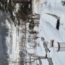 설국농장 이미지